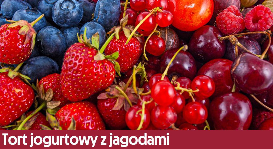 Tort jogurtowy z jagodami – smaczny i letni deser dla wszystkich