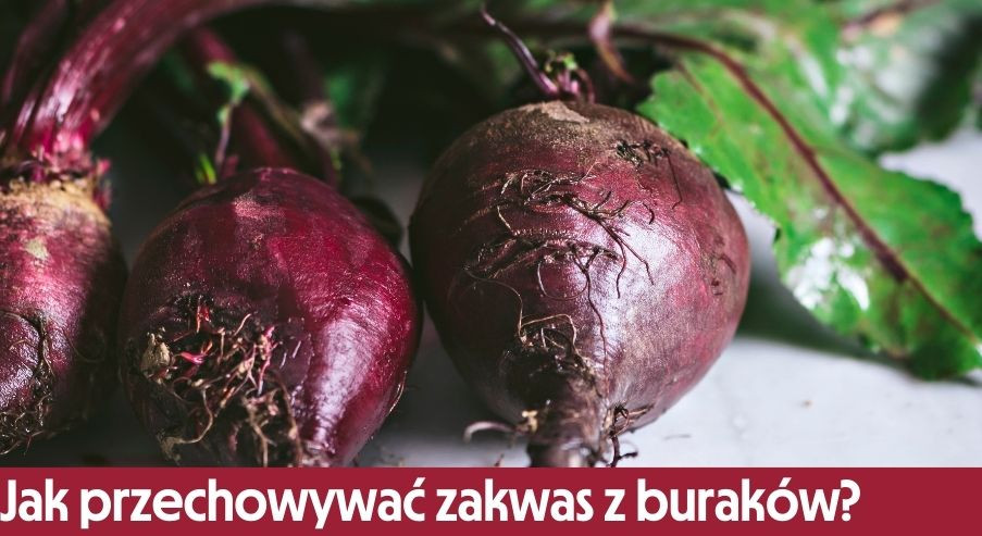 Jak przechowywać zakwas z buraków?