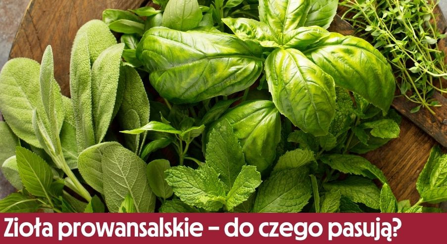 Zioła prowansalskie – do czego pasują i jak je stosować?
